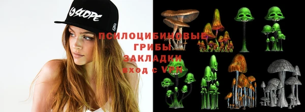 тгк Майский