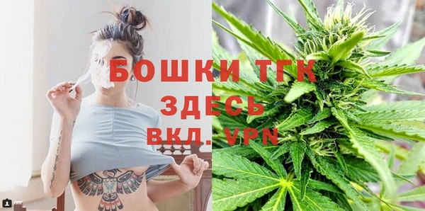 тгк Майский